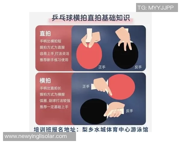 周磊独家分享乒乓球技巧与心得助你提升球技的全方位指南