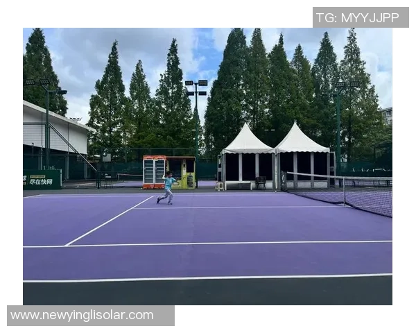 南京网球队的节奏探秘：深度解析网球运动的魅力与技巧