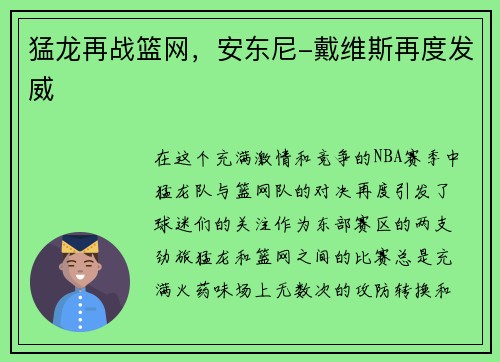 猛龙再战篮网,安东尼-戴维斯再度发威